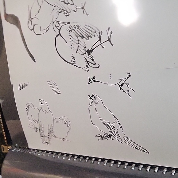 Art Profolio With Drawings - Picture 6 of 9